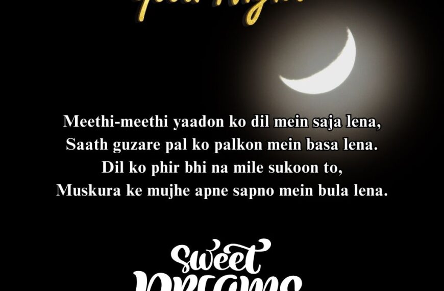 Good Night Shayari In English